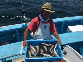 おざき丸 釣果