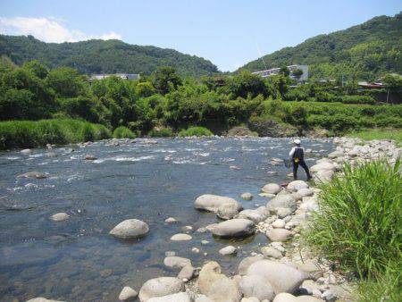狩野川(狩野川漁業協同組合) 釣果