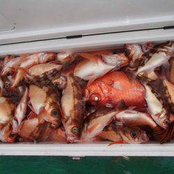 第二むつ漁丸 釣果