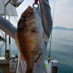 遊漁船　ニライカナイ 釣果