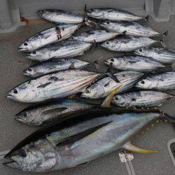 へいみつ丸 釣果