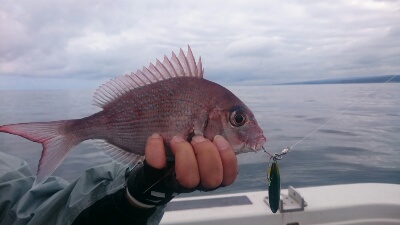 IDATEN(イダテン) 釣果