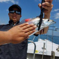 遊漁船 ニライカナイ 釣果