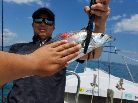 遊漁船 ニライカナイ 釣果