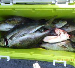 石川丸 釣果