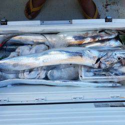 遊漁船 ニライカナイ 釣果