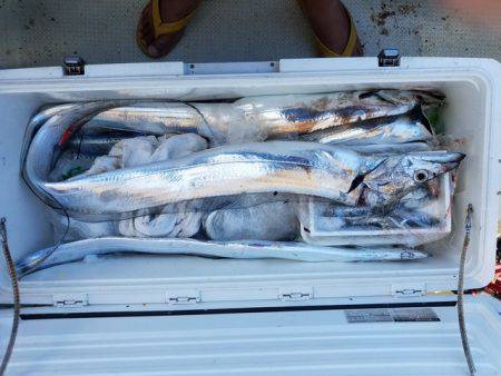 遊漁船 ニライカナイ 釣果