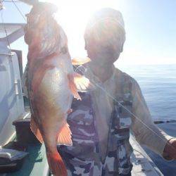 第二むつ漁丸 釣果