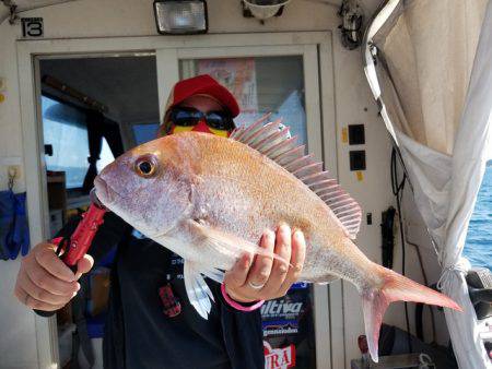 遊漁船　ニライカナイ 釣果