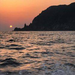 鵜来島家本渡船 釣果