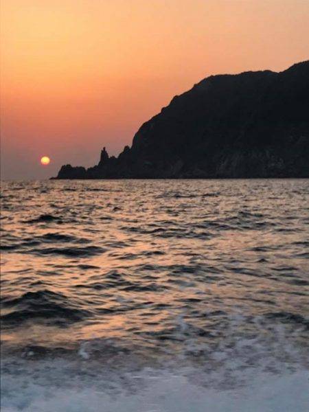 鵜来島家本渡船 釣果