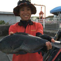 鵜来島家本渡船 釣果