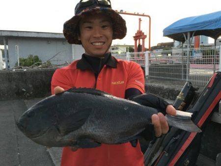 鵜来島家本渡船 釣果