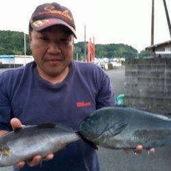 鵜来島家本渡船 釣果