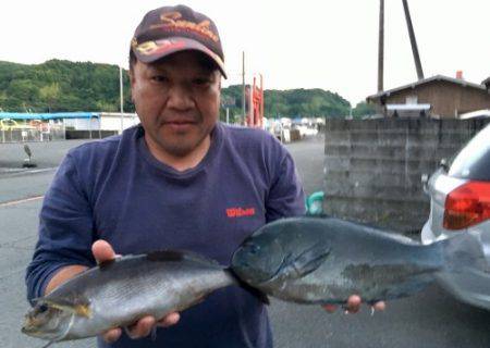 鵜来島家本渡船 釣果
