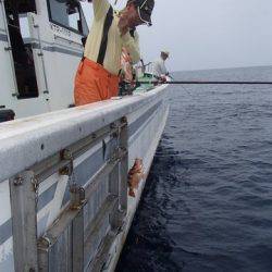 第二むつ漁丸 釣果