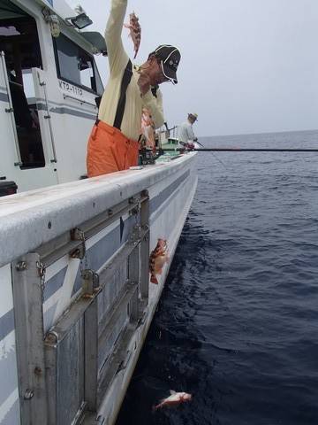 第二むつ漁丸 釣果