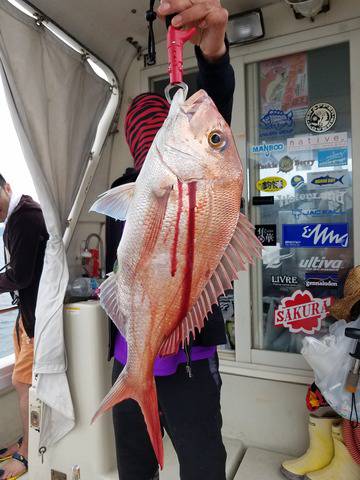 遊漁船　ニライカナイ 釣果