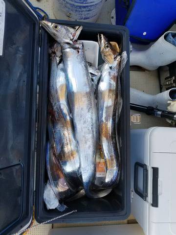 遊漁船 ニライカナイ 釣果