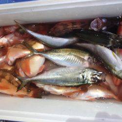 第二むつ漁丸 釣果