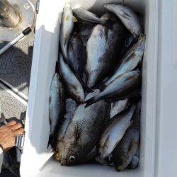 第二大福丸 釣果