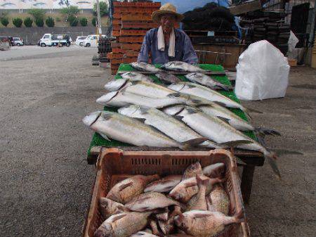 カタタのつり堀 釣果