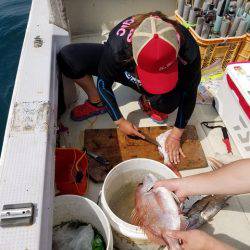 遊漁船　ニライカナイ 釣果