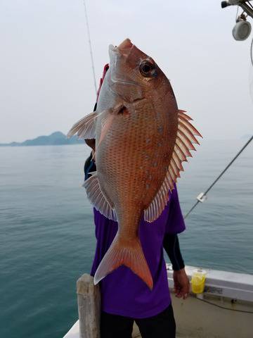 遊漁船　ニライカナイ 釣果
