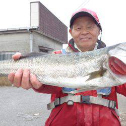 浜新丸 釣果