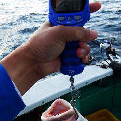 第三むつりょう丸 釣果