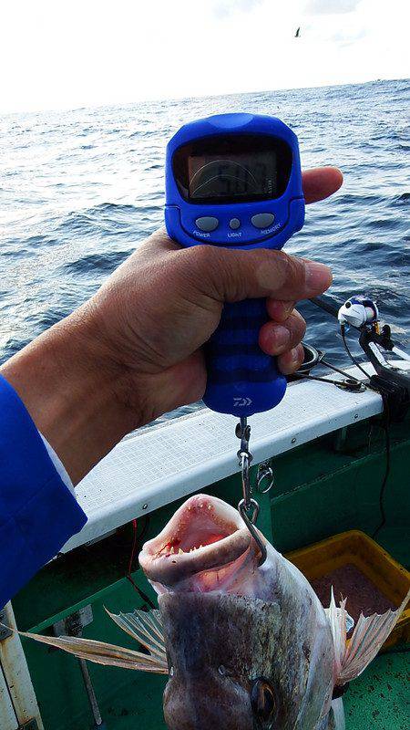 第三むつりょう丸 釣果