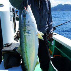 第三むつりょう丸 釣果