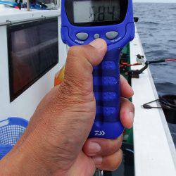 第三むつりょう丸 釣果