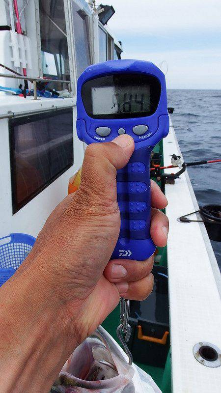 第三むつりょう丸 釣果