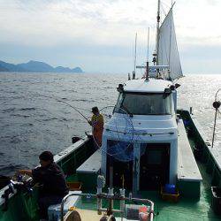 第三むつりょう丸 釣果