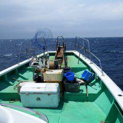 第三むつりょう丸 釣果