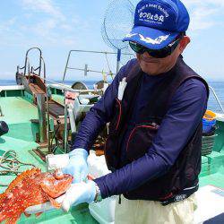 第三むつりょう丸 釣果
