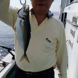 第三むつりょう丸 釣果