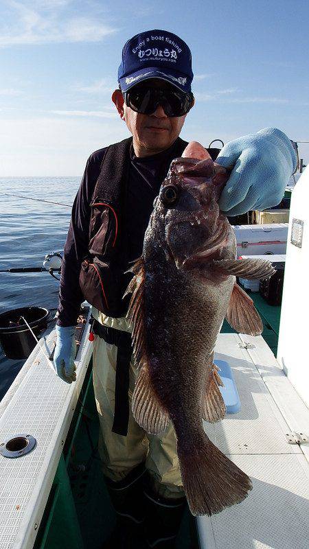 第三むつりょう丸 釣果