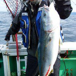 第三むつりょう丸 釣果