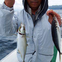 第三むつりょう丸 釣果