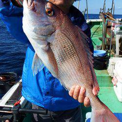 第三むつりょう丸 釣果