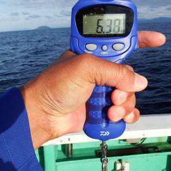 第三むつりょう丸 釣果