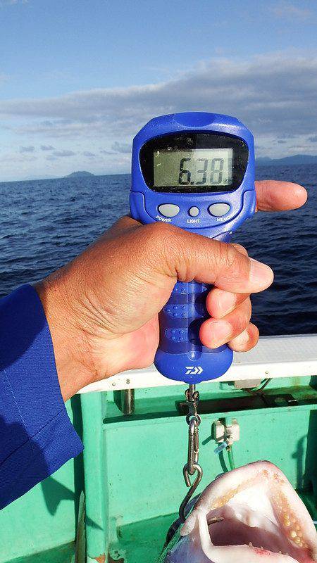 第三むつりょう丸 釣果