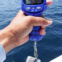 第三むつりょう丸 釣果