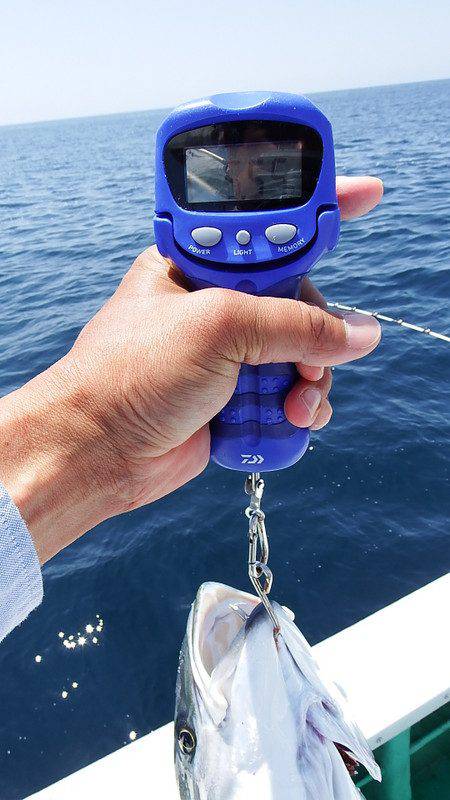 第三むつりょう丸 釣果