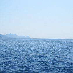 第三むつりょう丸 釣果