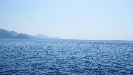 第三むつりょう丸 釣果