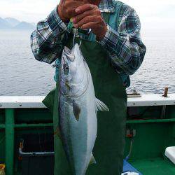 第三むつりょう丸 釣果