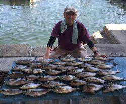 おざき丸 釣果
